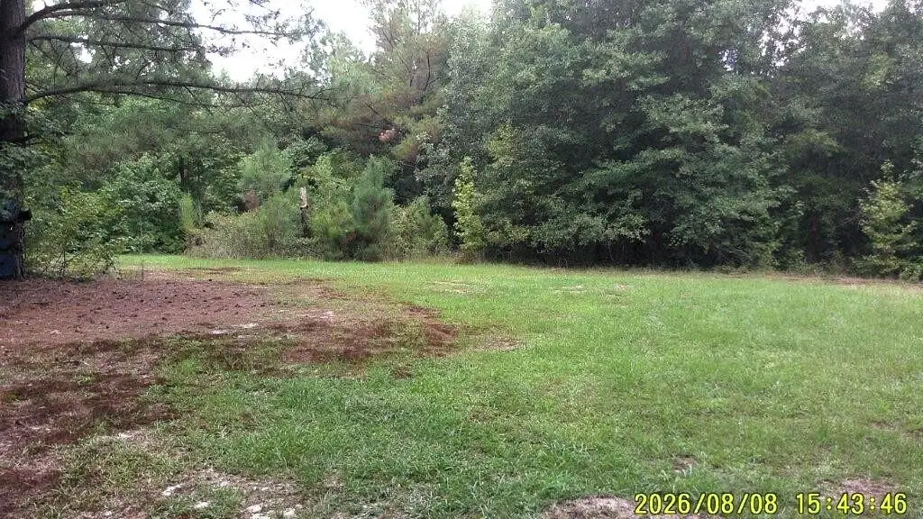 Picture 29