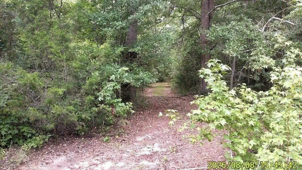Picture 32