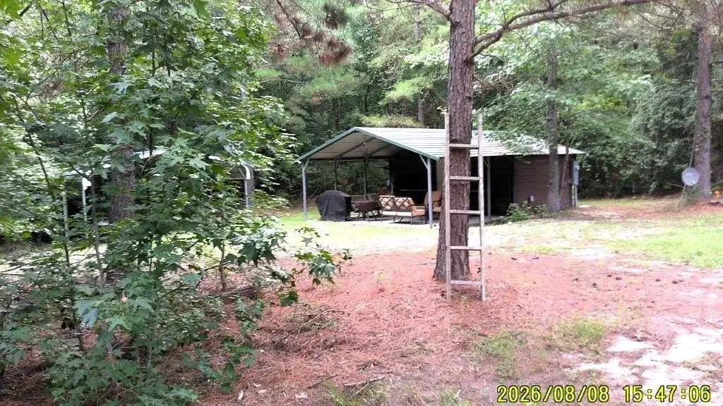 Picture 2