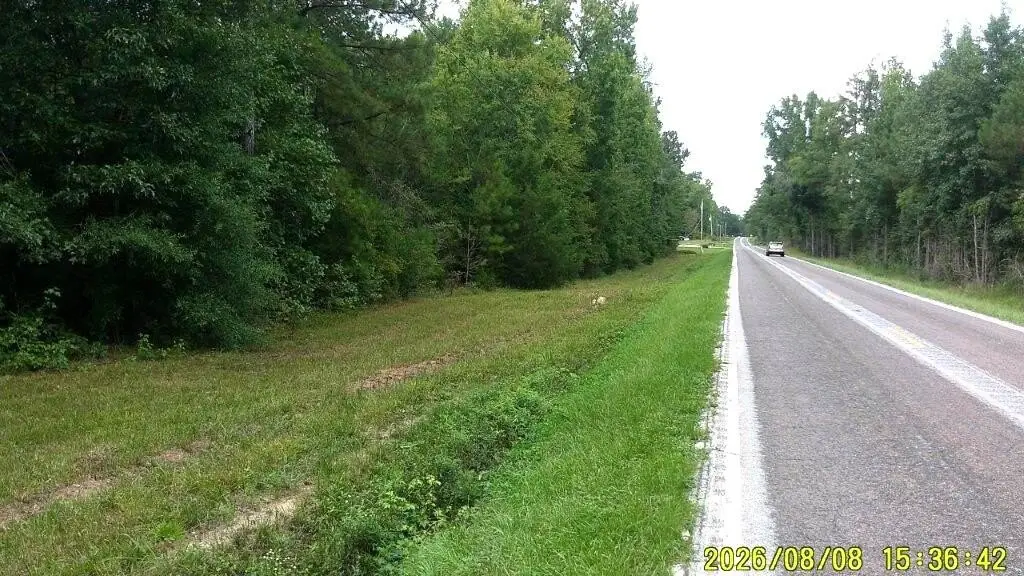 Picture 24