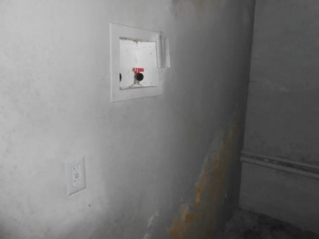 Picture 28