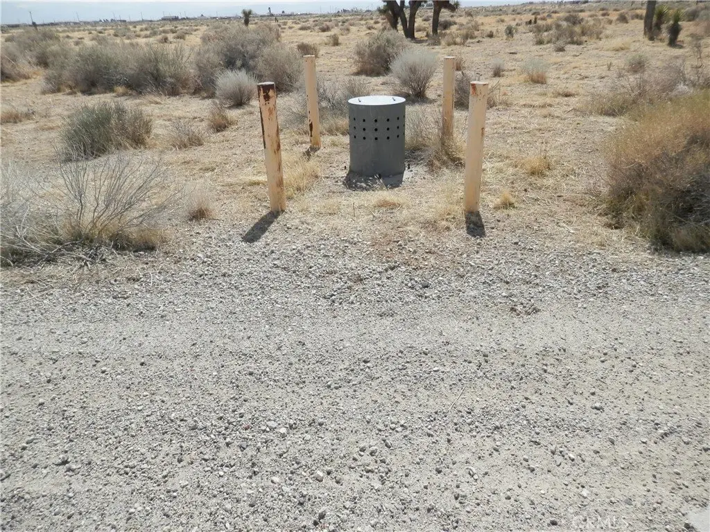 Picture 11