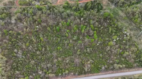 Wooded Land Near Arkansas River