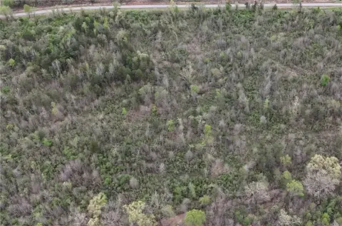 Hartman, AR Wooded Acreage
