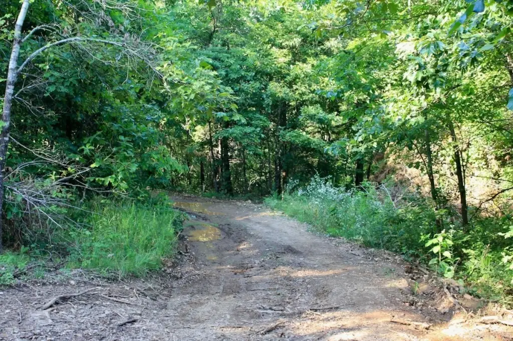 Picture 21