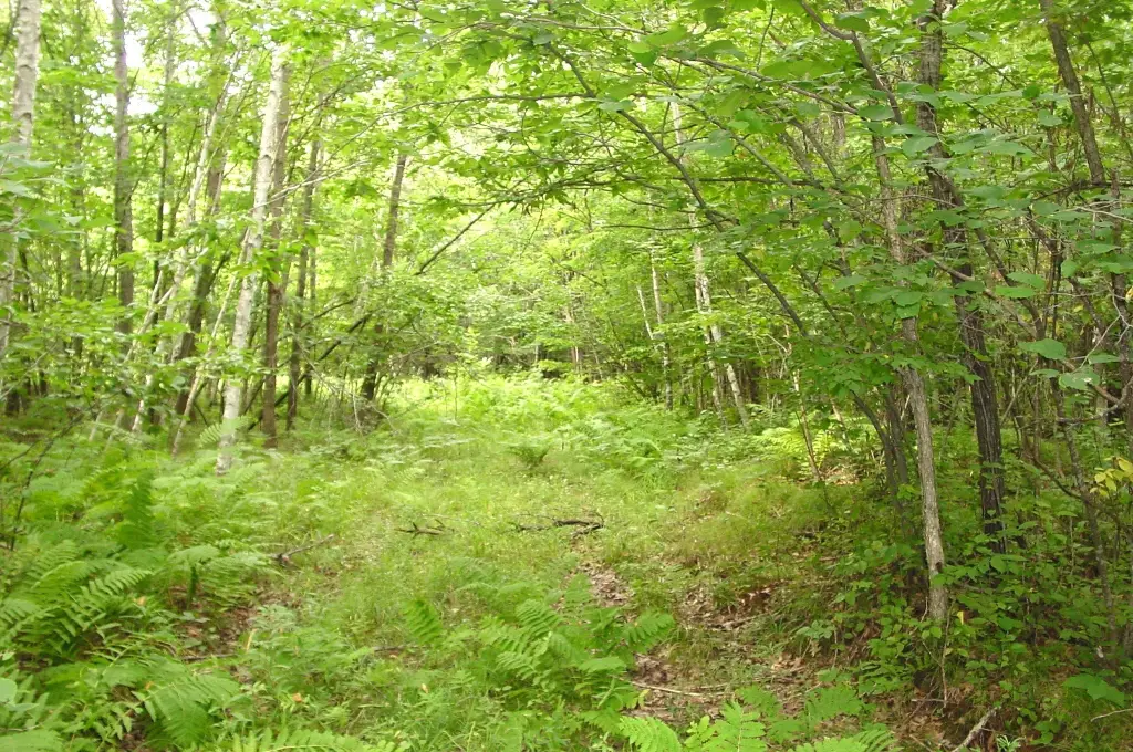 Picture 12