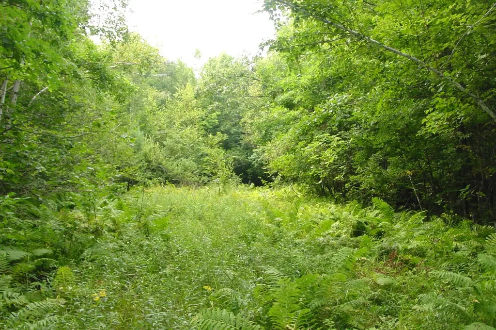 Picture 14