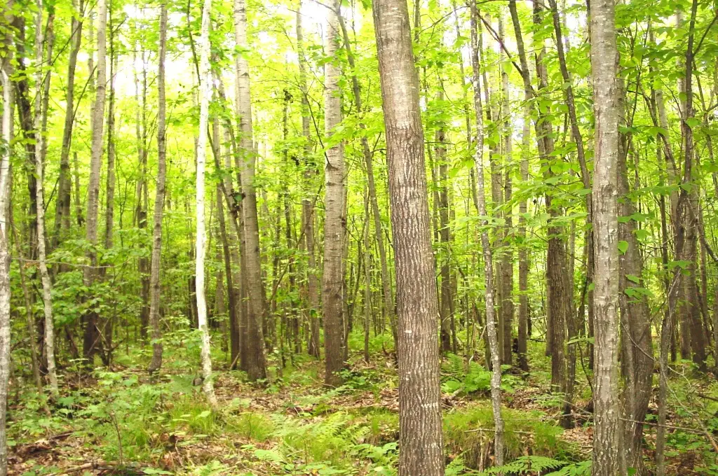 Picture 9