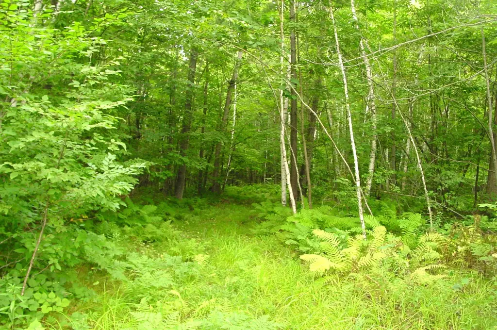 Picture 32