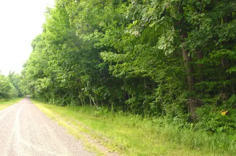 Hunting Land with Hardwood Forest