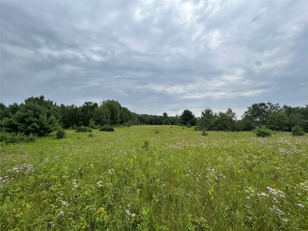 Picture 19