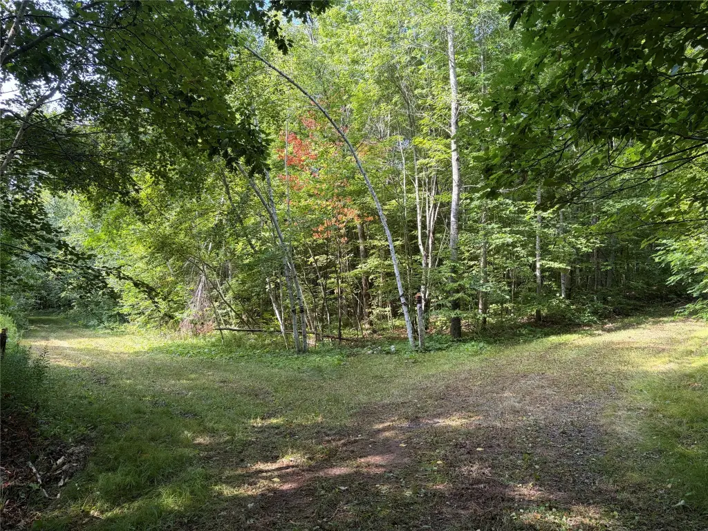 Picture 22