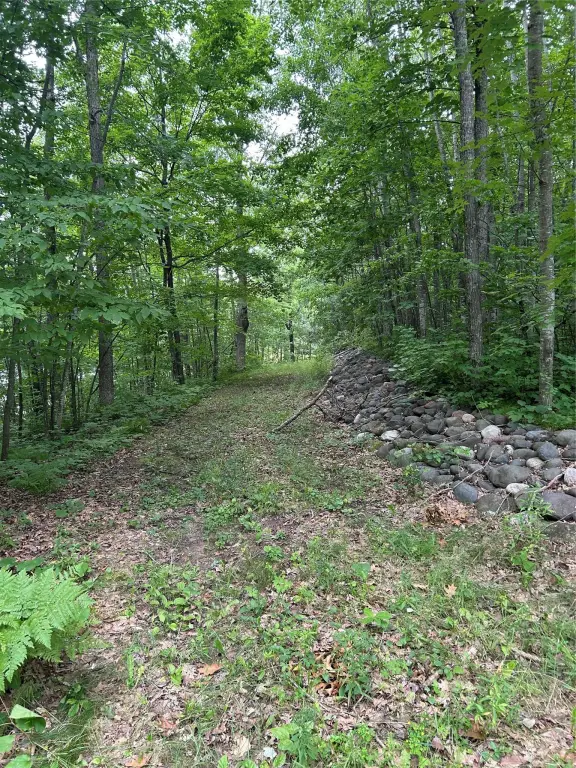 Picture 20