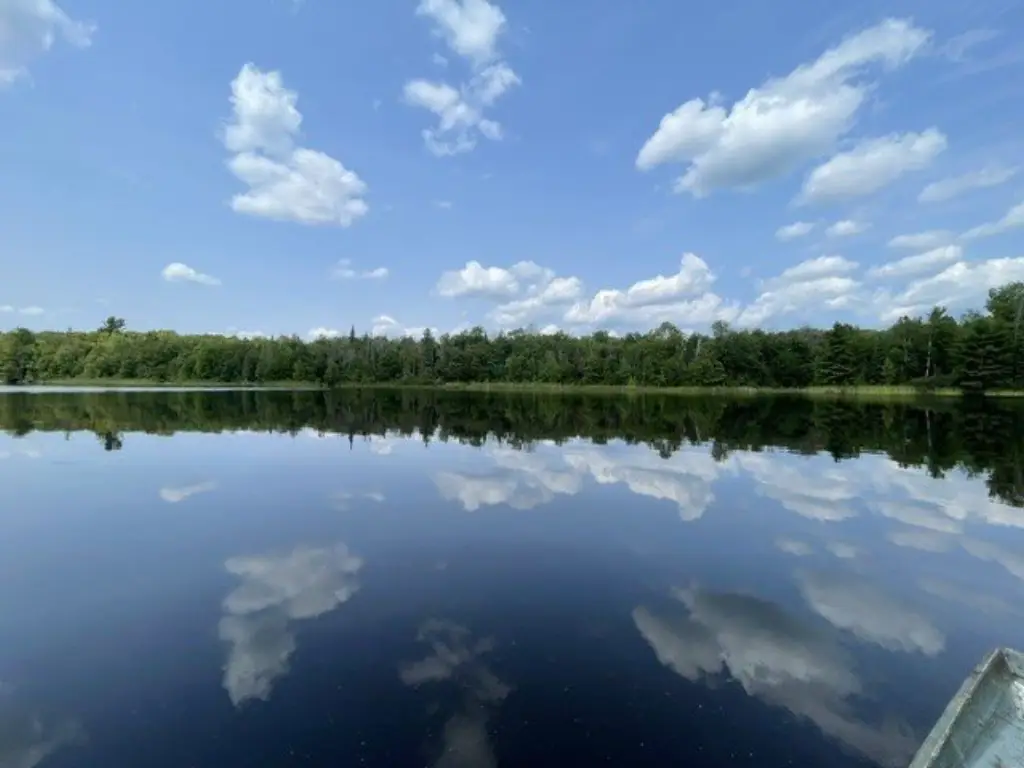 Picture 26