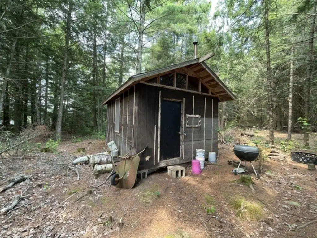 Picture 21