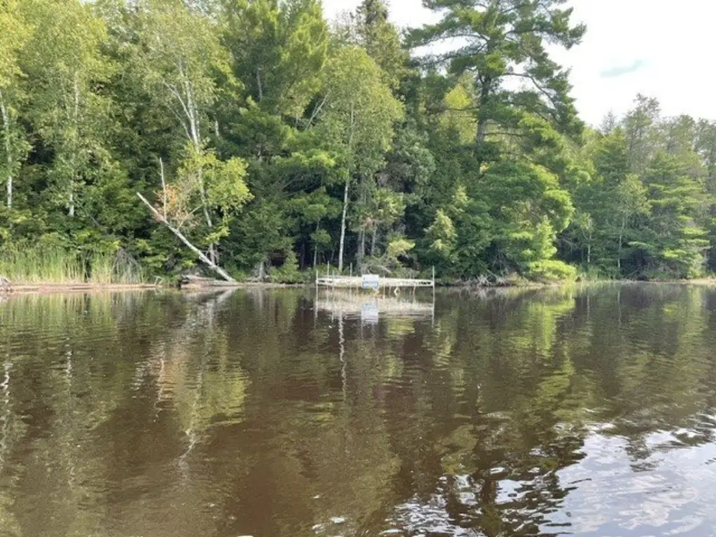 Picture 25