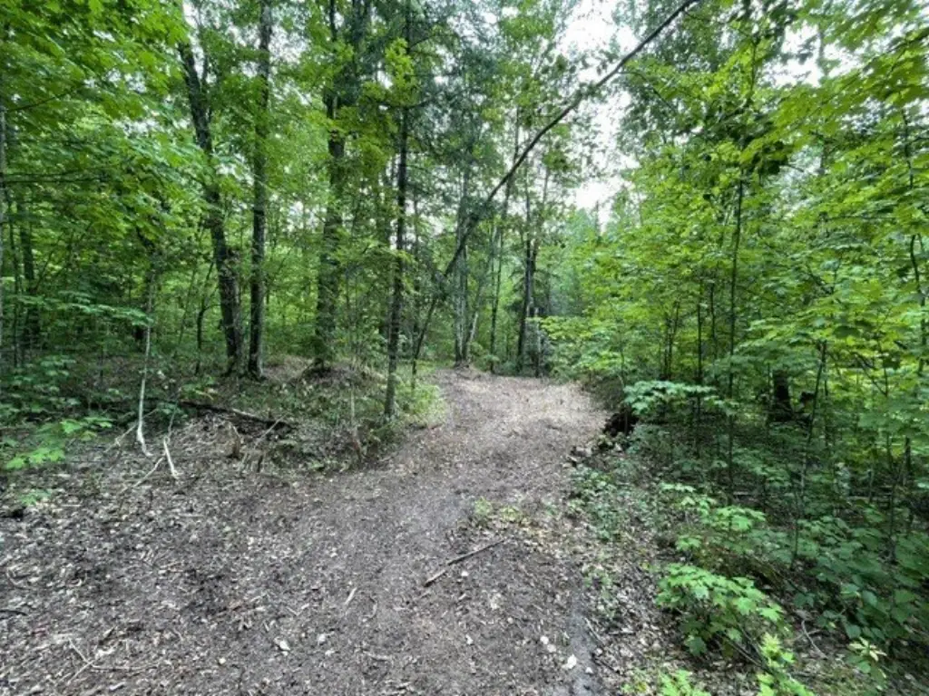 Picture 27