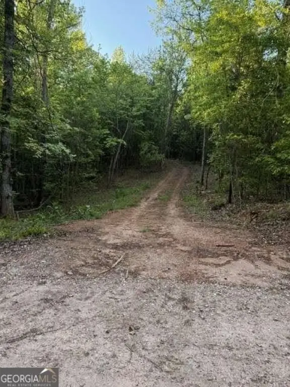 Picture 4