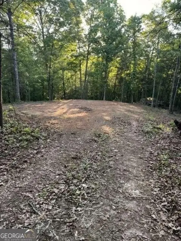 Picture 6