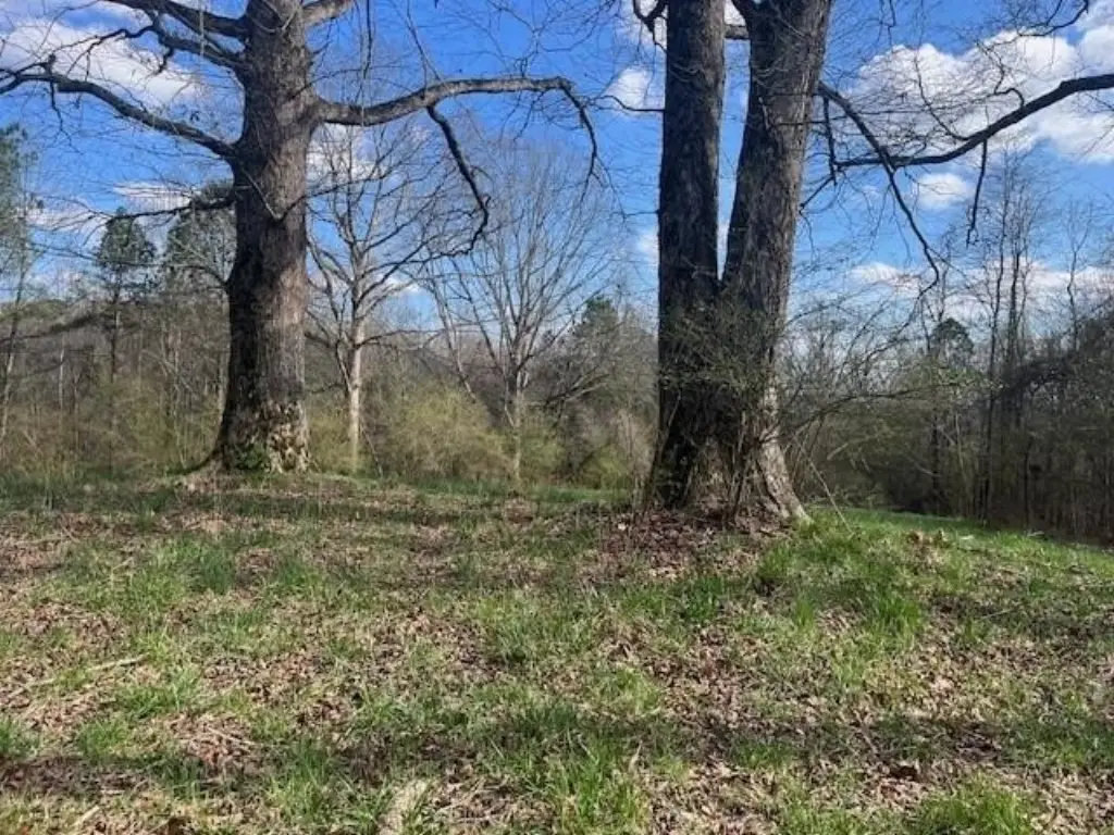 Picture 4