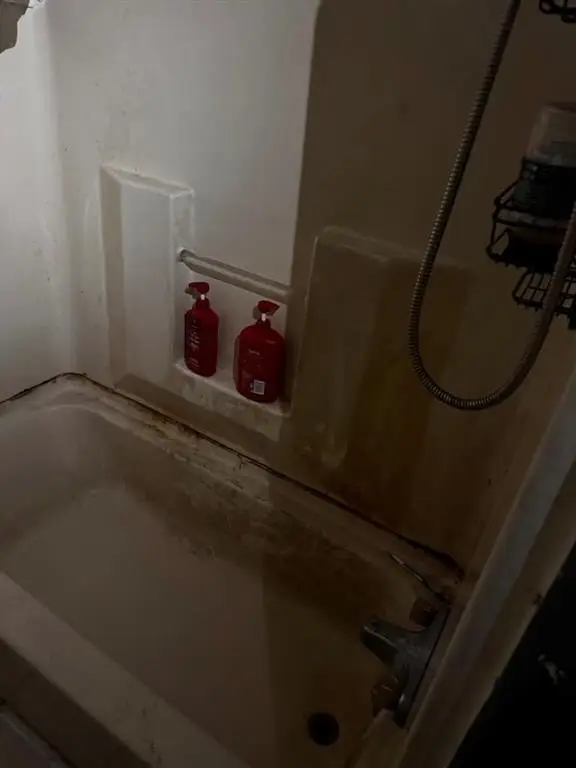Picture 42