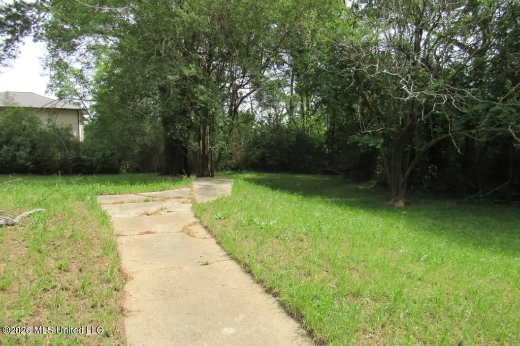 Picture 4