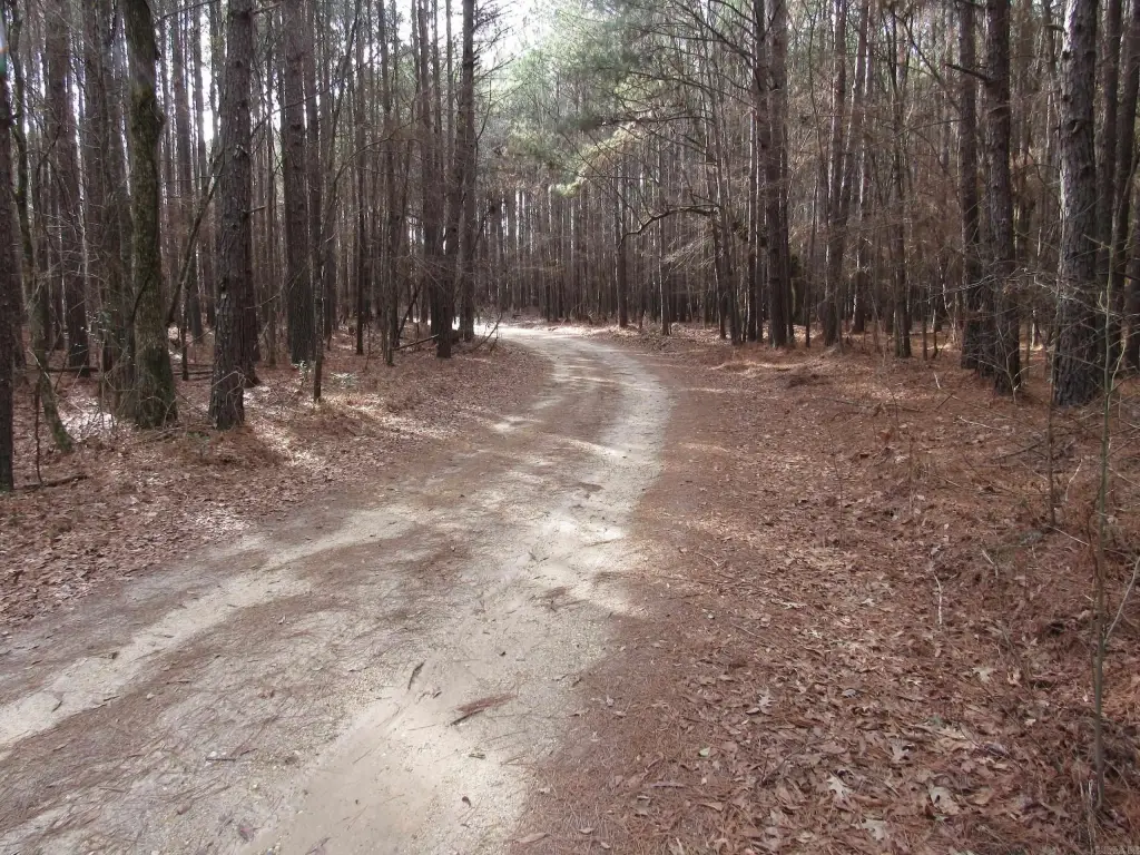 Picture 28