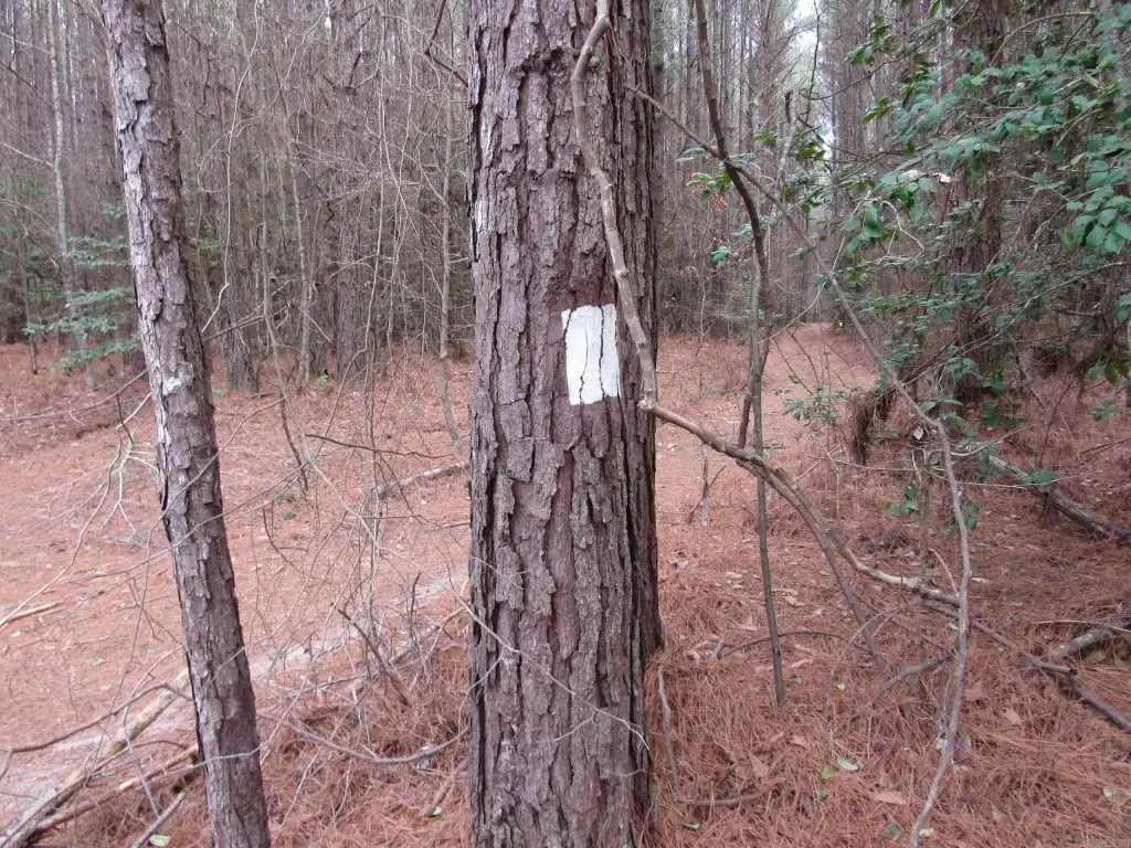 Picture 36