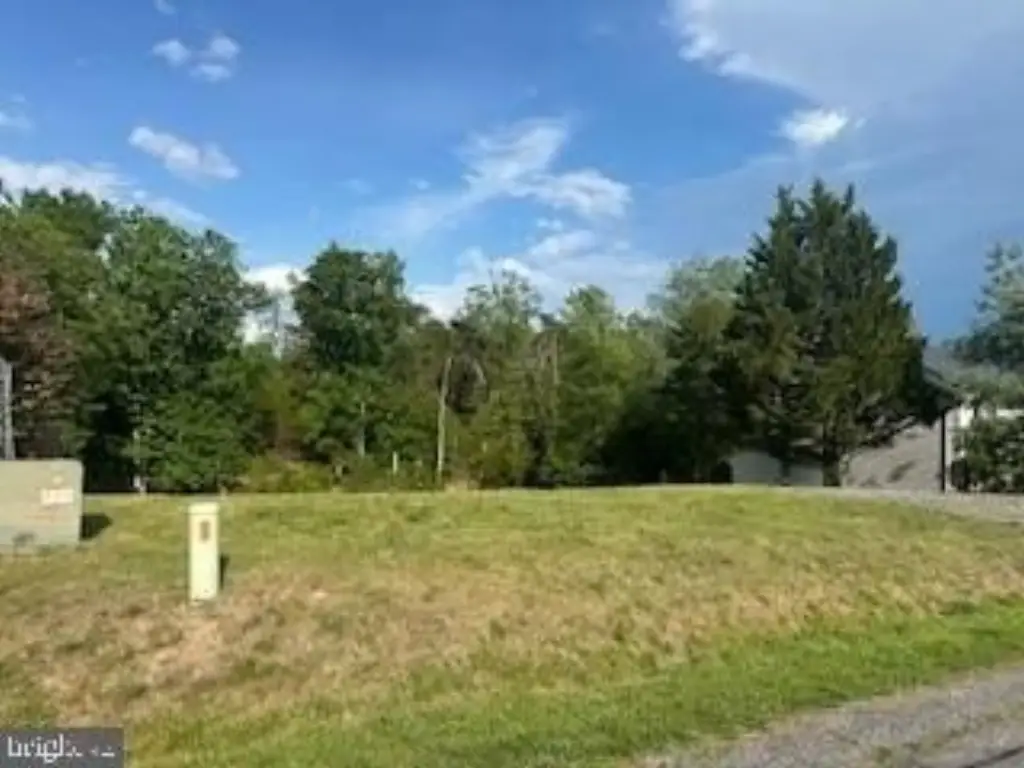 Picture 3
