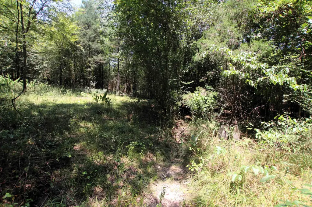 Picture 19