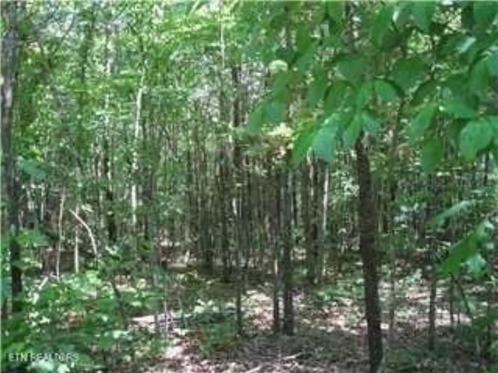 Picture 4