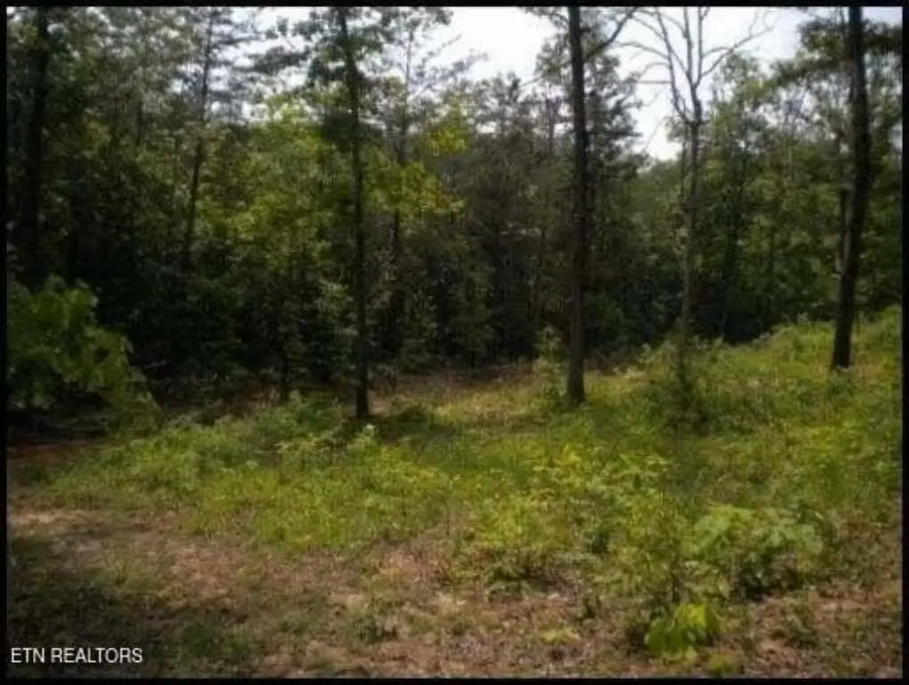 Picture 7