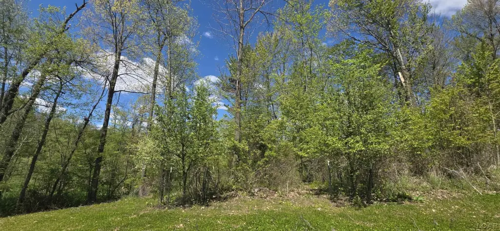 Picture 25