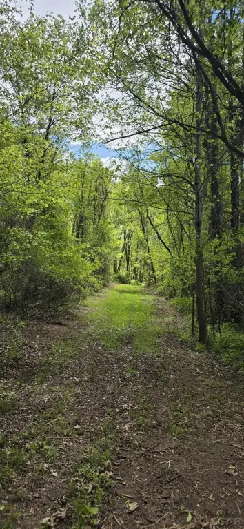 Picture 18