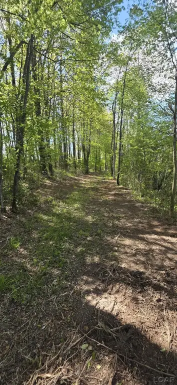 Picture 17