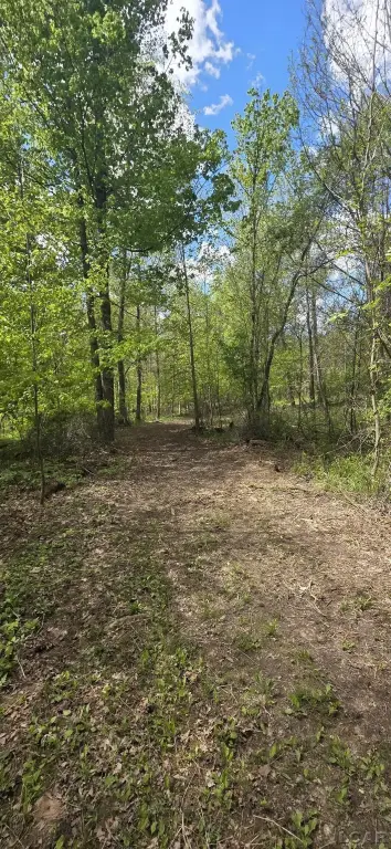 Picture 21