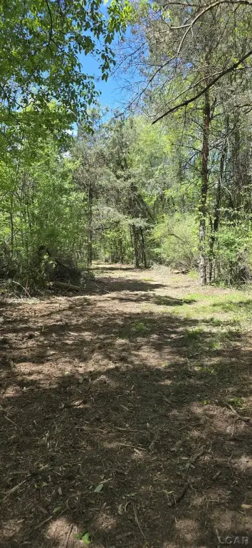 Picture 31