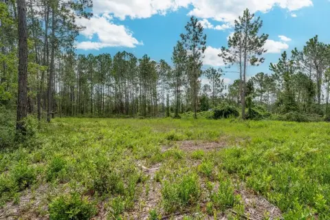 Land for Residential Development