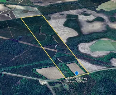 94 Acres of Timberland in Atkinson County