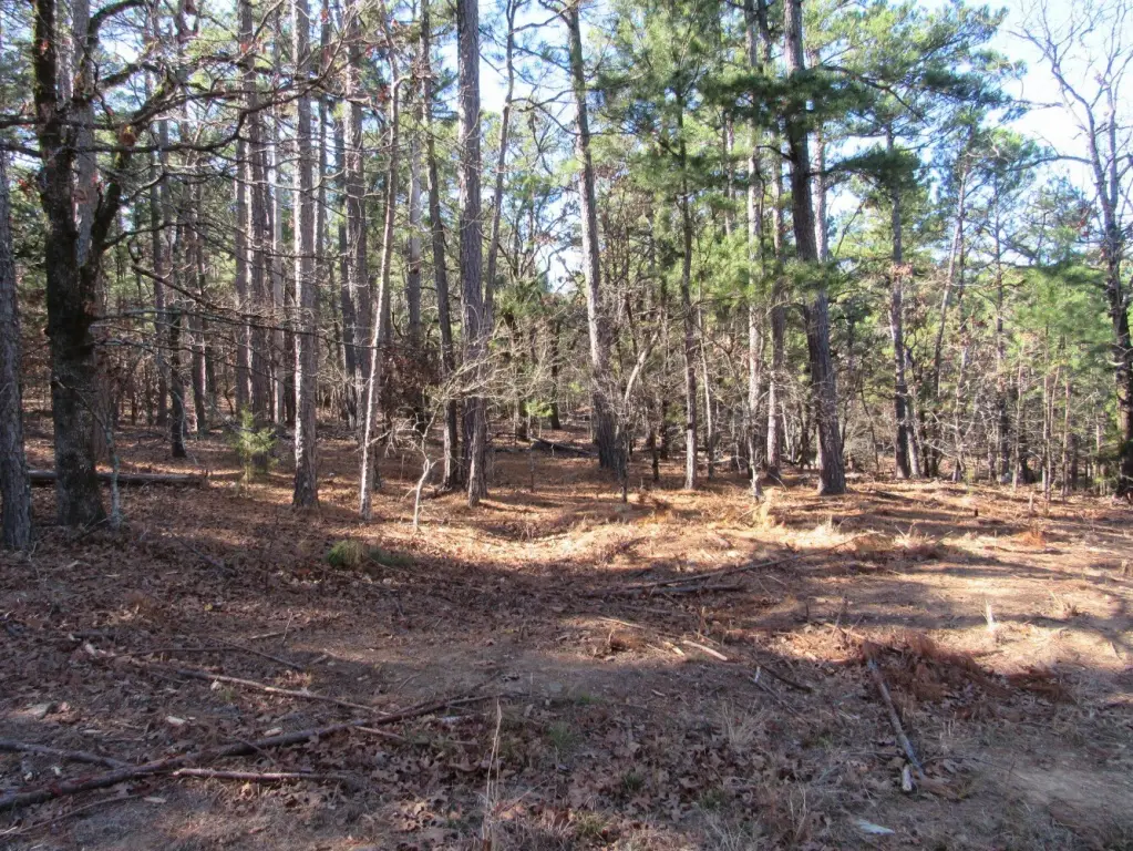 Picture 47
