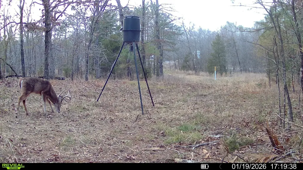 Picture 4