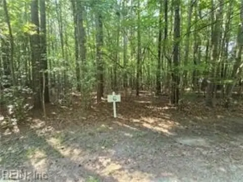 Cobbs Creek Wooded Land Parcel