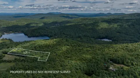 Spacious Land Near King Pine