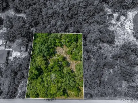 Crystal River Acreage, No HOA