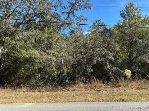 Residential Lot in Citrus Hills