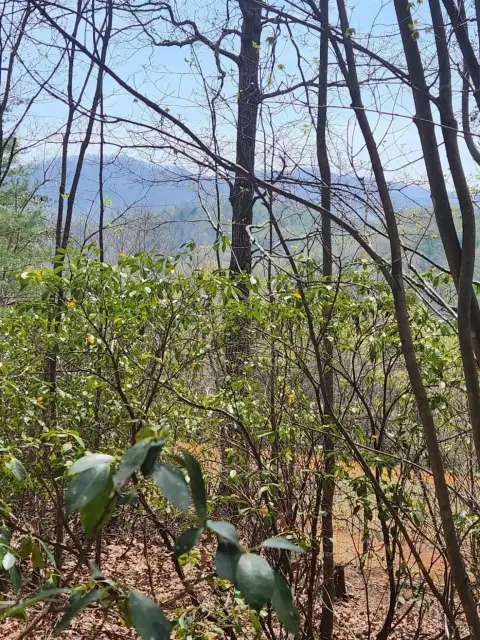 Amherst, VA Unimproved Land