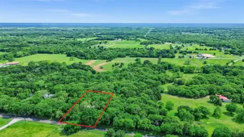 Wooded Acreage in Sadler, Texas