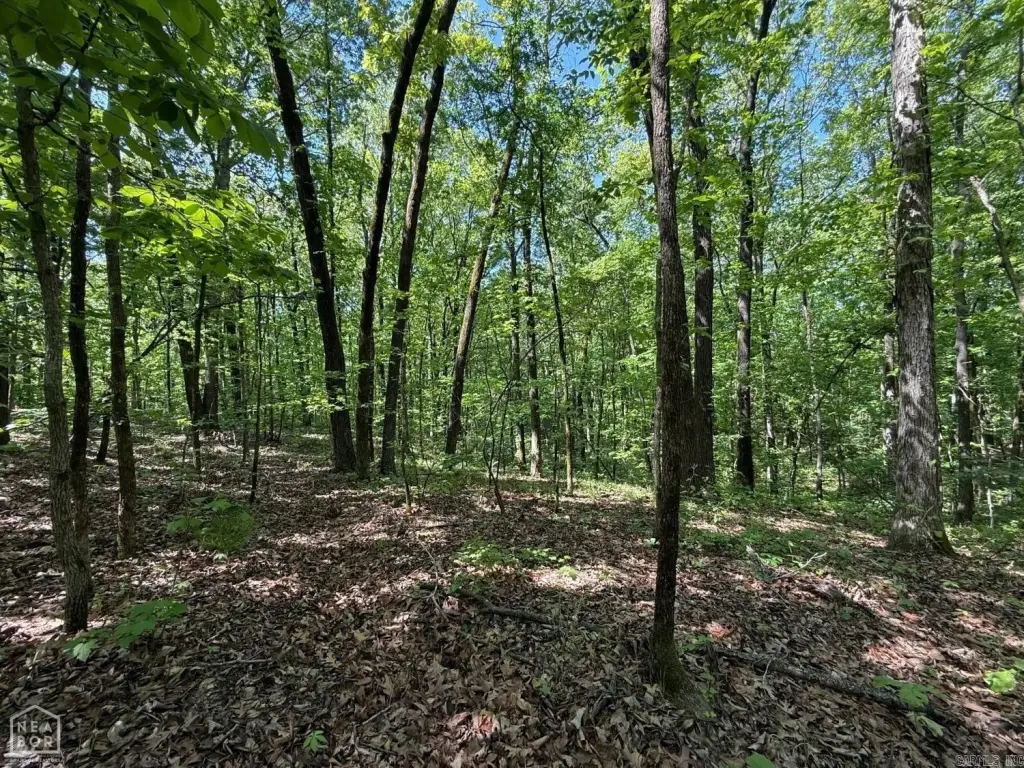 Picture 16