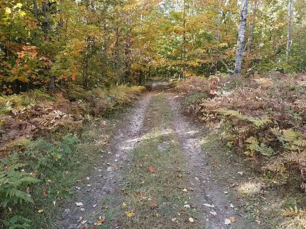Picture 18