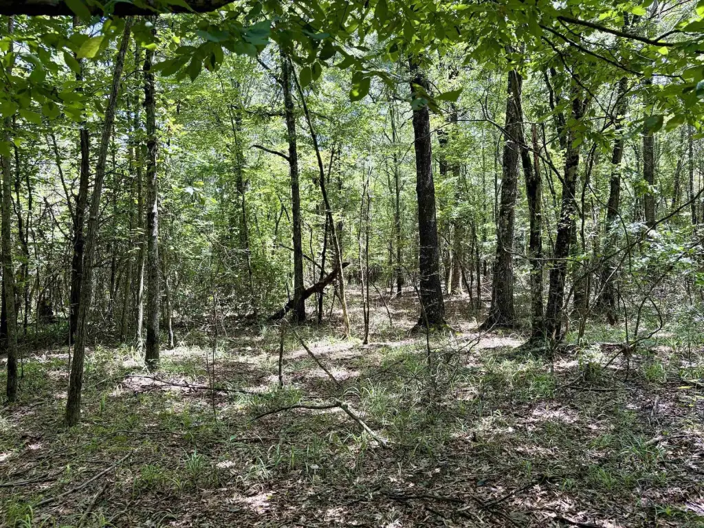 Picture 19